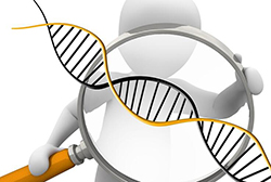 江西省医院办理DNA鉴定结果需要多久，江西省医院做DNA亲子鉴定样本有些什么